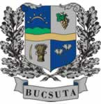 Bucsuta település címere